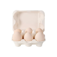 Boîte à œufs en bagasse de canne à sucre, 6 compartiments, biodégradable, en pulpe de bagasse, recyclable pour l'emballage des œufs de poule