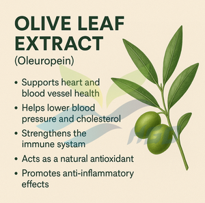 Hgo Nhà máy cung cấp trực tiếp của tinh khiết tự nhiên <span class=keywords><strong>Olive</strong></span> <span class=keywords><strong>Leaf</strong></span> <span class=keywords><strong>extract</strong></span> (cấp thực phẩm) oleuropein 30% - 48% (tiêu chuẩn hóa chiết xuất) - Product Image 5