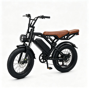 Electric Mountain Bike 48V 20 Inch Rear Hub Motor Lithium Battery Cargo E-Bike <b>Kit</b> - Product Image 1