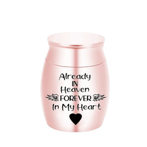 Petite urne de crémation en acier inoxydable, gravure d'ailes, cœur commémoratif, animal de compagnie, cendres humaines, chien, chat, souvenir, pot-pour toujours dans mon cœur - Product Image 2