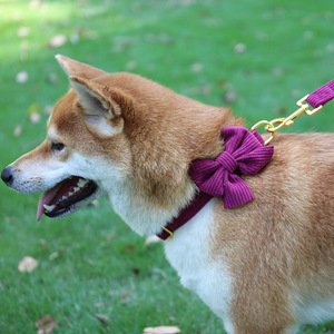 Pajarita ajustable para perros y cachorros, accesorios de moda de pana, pajarita de lujo personalizable - Product Image 1