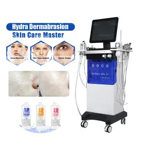 Dikey 14 in 1 hydra cilt bakımı güzellik hidro dermabrazyon yüz makinesi/mikrodermabrazyon makinesi