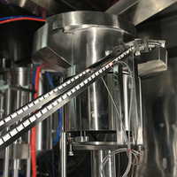 Machine de remplissage et de cachetage de machine de remplissage et de capsulage de poche de bec liquide en plastique automatique de la Chine pour le jus/gelée/eau