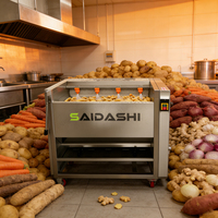 Usine de transformation du manioc, machine électrique commerciale de pelage et de lavage pour le gingembre, les pommes de terre, le manioc, les betteraves et les carottes
