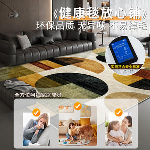 Tapis à motifs géométriques abstraits pour salon, imperméable, résistant aux taches, tapis de sol de grande surface, matériau en fibre de polyester - Product Image 4