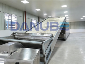 Máquina deshidratadora de malla continua con cinta transportadora industrial para el procesamiento de frutas, verduras y alimentos. - Product Image 3