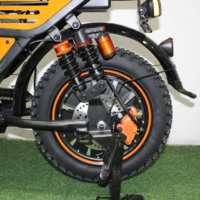 Vélo cargo électrique robuste de 16 pouces, 60V, 1000W, pour la livraison et les trajets quotidiens : Wenbox W-33