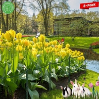 Lot de 8 anneaux de support demi-rond pour plantes Ensembles de piquets Versatile Pivoine Tomate Hortensia Rose Fleurs Plante Cages Piquets