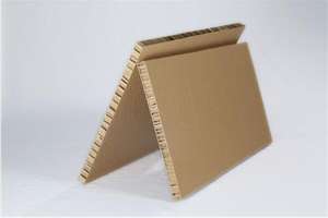 Ustom-cartón imprimible para exhibición publicitaria, cartón para publicidad, oneycomb - Product Image 4