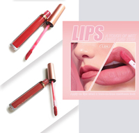 Tube rond en or rose imperméable à l'eau marque privée logo personnalisé oem odm vente en gros rouge mat brillant à lèvres liquide velours rouge à lèvres brillant à lèvres