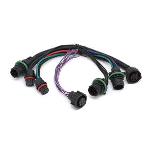 Molex perumahan molex 2 pin mini-fit konektor kawat harness konektor auto kawat harness produsen - Product Image 3