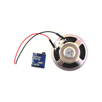 Interface audio Taidacent, dispositif de conversion de la parole en texte, prononciation TTS, description en direct, synthétiseur vocal réaliste, module SYN6288