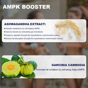 אספקת מפעל של כדורי דיאטה טבעוניים, תמצית פולי קפה ירוק, להגברת קצב המטבוליזם וקידום עיכול בריא - Product Image 5