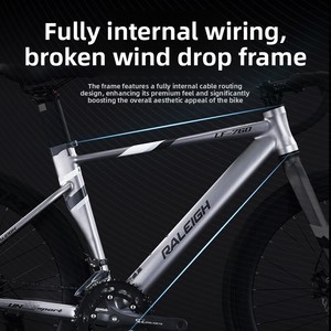 Bicicleta de Carretera Lanling con Cuadro de Acero al Carbono, Horquilla con Resorte, Cableado Interno, Frenos de Disco, Diseño de Carreras, Desmontable, para Adultos - Product Image 2
