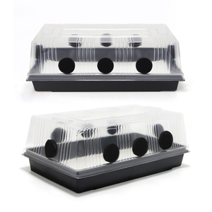 גדול עדיין תיבת אוויר גידולי פטריות צדפות ערכת גידול פטריה למתחילים - Product Image 1