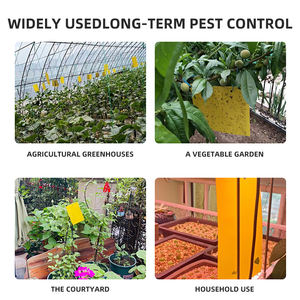 Panneau à insectes collant jaune double face personnalisé avec une forte adhérence pour <span class=keywords><strong>capturer</strong></span> les parasites, petit piège à insectes volants extérieur - Product Image 3
