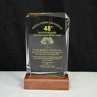 Trophée en cristal rectangulaire personnalisé avec logo sur mesure et base en bois, vente en gros