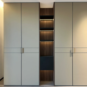Armadio Scorrevole Moderno in Pelle, Insonorizzato, Design Personalizzato, Alta Qualità, Ecologico, Grande - Product Image 6