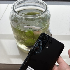 Teléfono con Desbloqueo Facial, Cámara Camon 50 Pro 5G Versión Global, Smartphone con Cámara HD, Carga Rápida, Venta al Por Mayor - Product Image 3