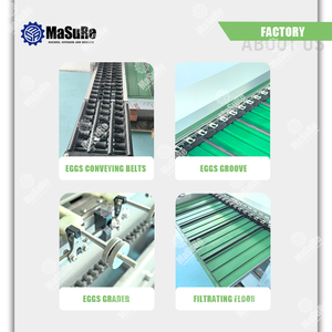Prezzo di fabbrica macchina per smistare le dimensioni delle uova di gallina classificare la macchina automatica per la classificazione delle uova in scala di alta qualità - Product Image 5