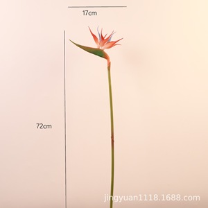 Fleur artificielle mini oiseau de paradis Jingyuan PU 55g, décoration pour photographie de mariage et décoration intérieure - Product Image 4