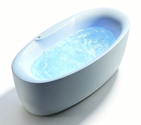 Baignoire de massage ovale en acrylique, autoportante, pour hydrothérapie intérieure, spa 60 gal+, avec éclairage LED, pour maison, hôtel, villa