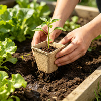 Pots de semis carrés en pulpe de papier moulée, biodégradables et compostables, pour serres, jardins et pépinières, vente en gros