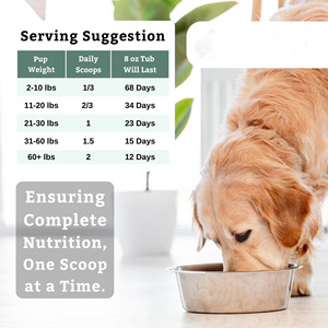 Compléments nutritionnels pour animaux de compagnie OEM/ODM, enrichis en multivitamines, soins de santé pour chiens et chiots, supplément de calcium et de phosphore organique pour animaux de compagnie, poudre - Product Image 3