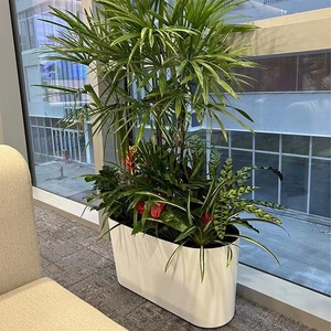 Vaso da fiori ispessito in plastica per irrigazione automatica semplice classico rettangolare balcone scatola di grandi dimensioni per il giardinaggio <span class=keywords><strong>a</strong></span> <span class=keywords><strong>casa</strong></span> - Product Image 3