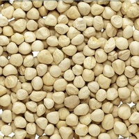 Graines de Moringa PKM1 - Produits de biohacking pour le bien-être anti-âge et la longévité - 100% Moringa Oleifera brute pour la détoxification