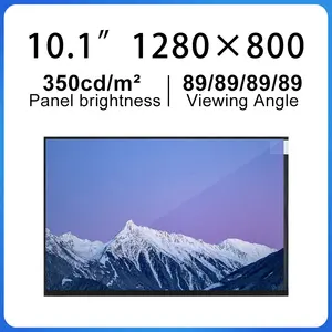 NEU 10,1 Zoll lcd-Display LVDS 40 Pin 1280*800 LCD-Bildschirm Panel HSD101PWW1-G10