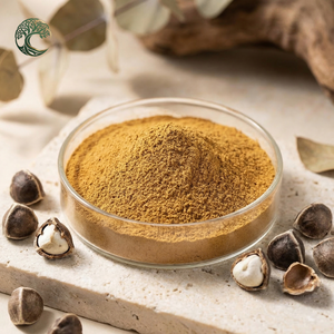 Poudre <span class=keywords><strong>de</strong></span> <span class=keywords><strong>graines</strong></span> <span class=keywords><strong>de</strong></span> <span class=keywords><strong>Moringa</strong></span>, extrait <span class=keywords><strong>de</strong></span> <span class=keywords><strong>graines</strong></span> <span class=keywords><strong>de</strong></span> <span class=keywords><strong>Moringa</strong></span>, poudre d'extrait <span class=keywords><strong>de</strong></span> <span class=keywords><strong>graines</strong></span> <span class=keywords><strong>de</strong></span> <span class=keywords><strong>Moringa</strong></span> Oleifera - Product Image 4