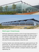 Serre agricole/commerciale/multi-spans de 10 000 m2 en film/Po/PE/plastique avec système hydroponique/irrigation goutte à goutte