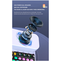 GAX-HC33 3-en-1 haut-parleur Portable système de carte son Interface Audio avec microphones pour chanter en direct BT karaoké HIFI