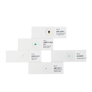 10 preparaciones biológicas por paquete, completas, claras y fáciles de observar, adecuadas para niños y estudiantes, experimentos científicos - Product Image 1