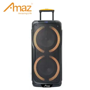 Manufacture Party Box Speaker Double 8inches 12inches 15inches 12V 5AH acid battery Portable Outdoor Trolley Speaker