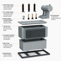 Transformateur de distribution triphasé immergé dans l'huile CE EAC ISO UL S11 250KVA 50/60Hz 6.3kV 10kV