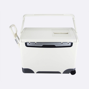 Refrigerador más barato de 36L con caja de visualización de temperatura para caja enfriadora de vacunas caja enfriadora médica transporte de cadena de frío - Product Image 1
