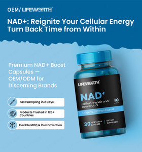 แคปซูลเสริมอาหารไลฟ์เวิร์ธ สำหรับผู้ใหญ่ ผสม NAD และเรสเวอราทรอล ได้รับการรับรองมาตรฐาน HACCP และ GMP บรรจุ 60/90/120 แคปซูล/ขวด ช่วยเสริมสร้างความจำ การนอนหลับ และผิวพรรณ - Product Image 3