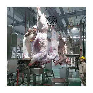 Good Service 100 Head Cattle Every Day Cow Abattoir Slaughtering Equipment Beef Processing Line For Feeding Device Plant