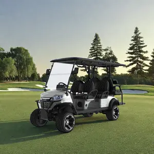 Ekonomis 2/4/6 tempat duduk listrik Golf Cart kendaraan dengan sertifikat CE Modern listrik Golf Cart untuk dewasa