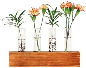 Test Tube Stand Hanging Flower Vase Decorative Rustic Wood Holder
