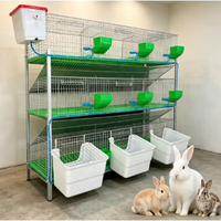 Système d'élevage de lapins galvanisé robuste pour fermes commerciales avec compartiment de nidification intégré et surface de nettoyage facile