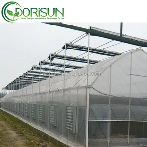 Serre tropicale de tunnel de film de PE utilisée pour la vente pour cultiver le concombre/tomate/fraise/légume à feuilles
