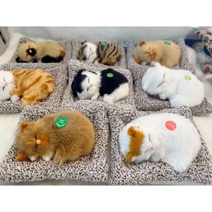 Peluche <span class=keywords><strong>Anime</strong></span> Super Morbido a Forma di Gatto Dormiente <span class=keywords><strong>con</strong></span> Suoni di Miao e Cuscino - Regalo per Bambini - Product Image 4