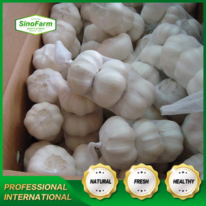 Bulbos de <span class=keywords><strong>Ajo</strong></span> Frescos Orgánicos Premium, Saborizantes y Nutritivos para Curry, Aderezos y Sopas - Product Image 6