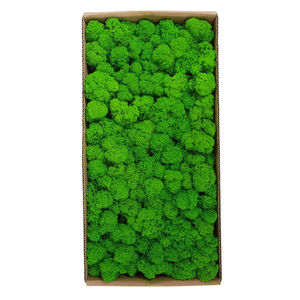 Plantas <span class=keywords><strong>Artificiales</strong></span>, Musgo Preservado, Musgo <span class=keywords><strong>de</strong></span> Reno, Decoración <span class=keywords><strong>de</strong></span> Pared, Jardín en Miniatura y Manualidades con Flores Preservadas - Product Image 4