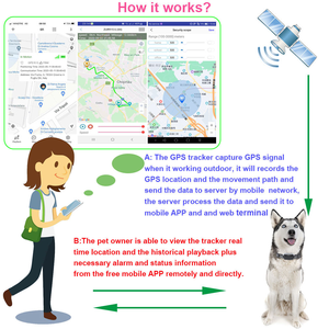 4G 애완동물 GPS 추적기 목걸이 무료 모바일 앱 원격 실시간 개 애완동물 GPS 추적 장치 - Product Image 2