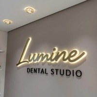 Enseigne lumineuse personnalisée en acier inoxydable avec logo rétroéclairé, lettres LED, enseigne murale illuminée pour réception, bureau, devanture de magasin, salon, hôtel