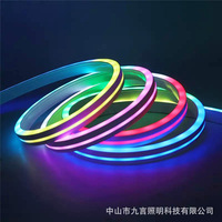 Bande lumineuse à corde flexible RGBIC de 16 pieds 24V néon dynamique pour l'extérieur connectivité USB étanche découpable pour le paysage
